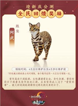 天龙八部私服里面天